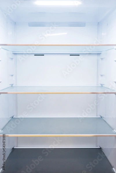 Fototapeta Completely empty fridge with compartments and ceiling light
