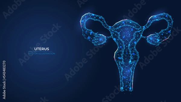 Fototapeta Futuristic abstract uterus symbol. Wireframe concept of women's health, gynecology and reproductive system. Low poly geometric 3d wallpaper background vector illustration.
