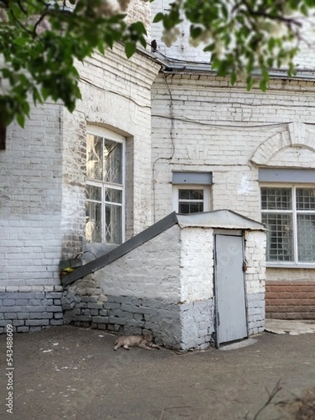 Fototapeta A part of old architecture