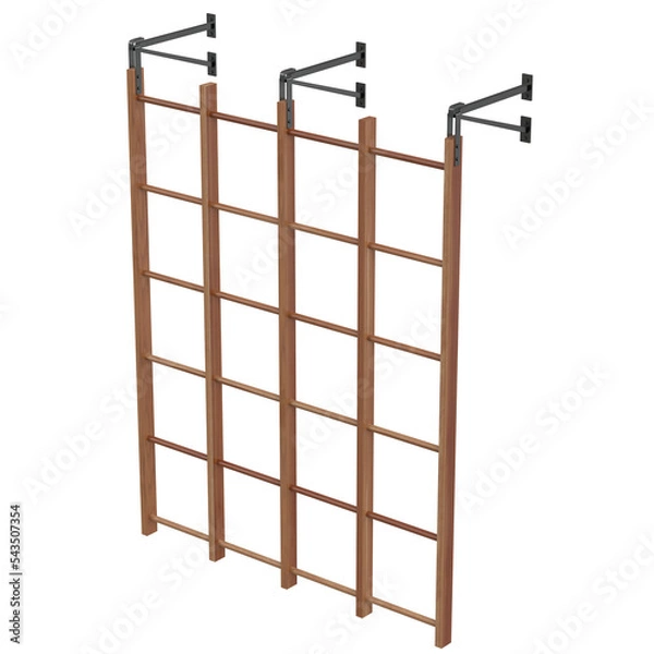 Fototapeta 3d rendering illustration of a Swedish runged swinging wall bar