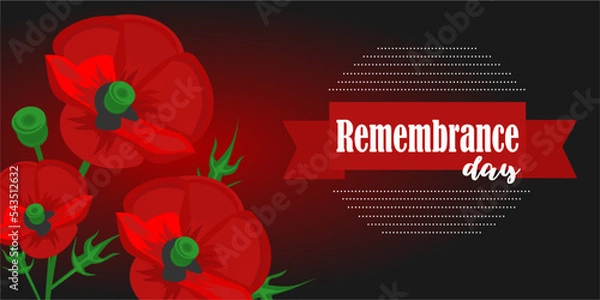 Fototapeta Remembrance Day, Memorial Day, Anzac Day, lest we forget. Red Poppy flower symbol of peace. Template with poppy on white background. Horizontal banner for Remembrance Day. 11 November British veterans