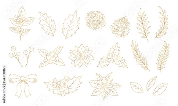 Fototapeta クリスマスの植物イラスト素材セット, 柊の葉っぱや木の実と花, 白背景に金色の線画.