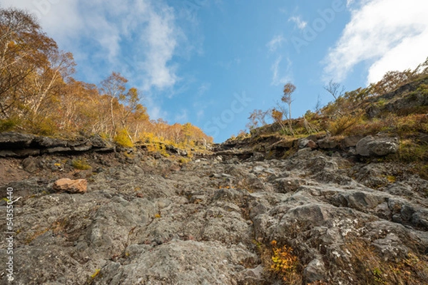Obraz road in the mountains