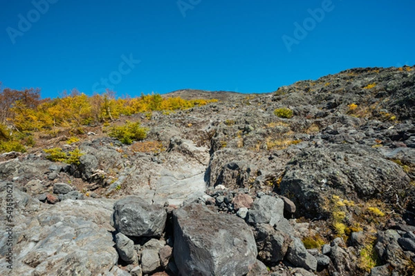 Obraz road in the mountains