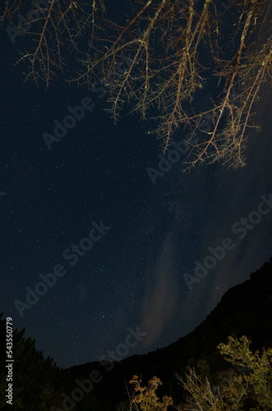 Obraz Starry Night Sky