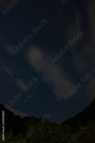 Obraz Starry Night Sky