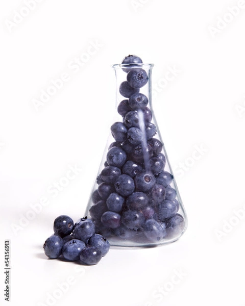 Obraz Scientific Blueberries