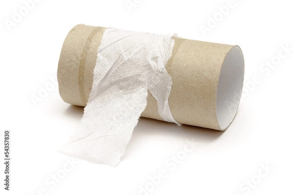 Fototapeta Empty toilet paper roll
