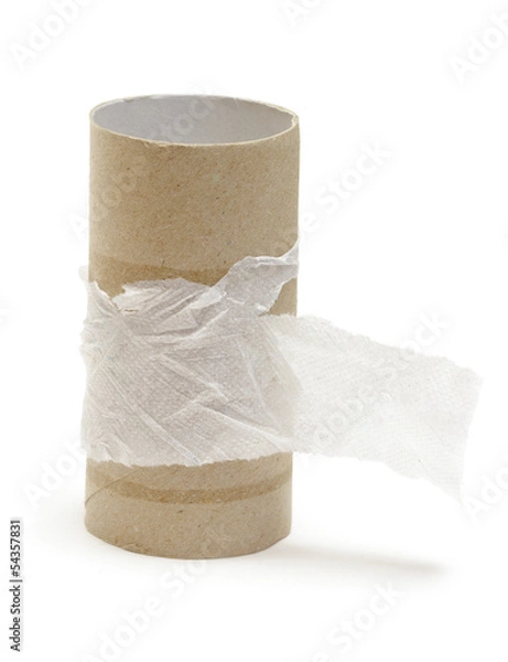 Fototapeta Empty toilet paper roll