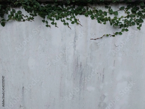 Fototapeta old wall background