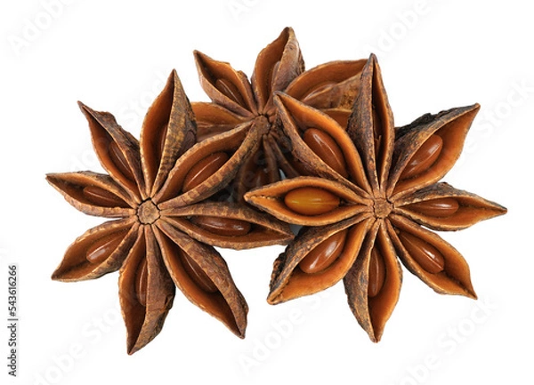 Fototapeta A group of star anises isolated on transparent PNG.