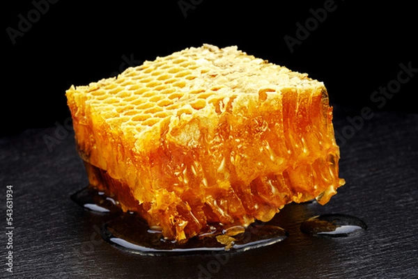 Obraz Honeycomb slice closeup