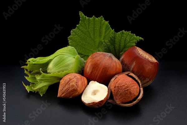 Obraz Hazelnut nut closeup