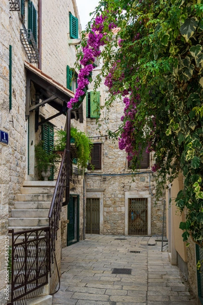 Obraz Split | Croatia / Hrvatska