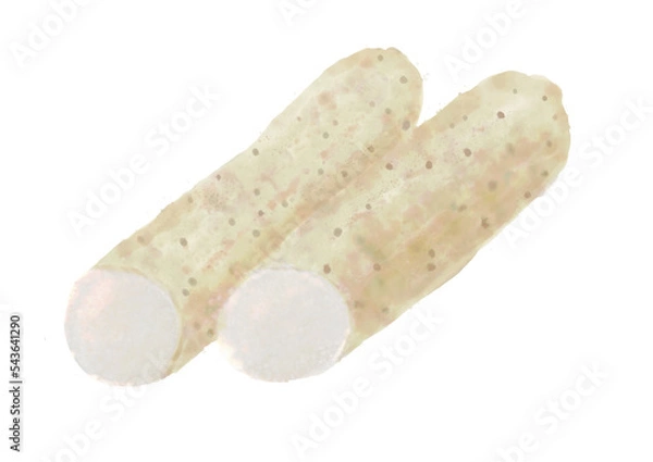 Obraz 水彩の長いも01_1