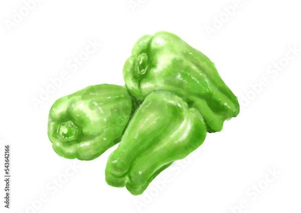 Obraz 水彩のピーマン01_1