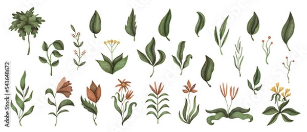Obraz Watercolor set with vintage flowers, leaves and branches. Retro forest for creative design