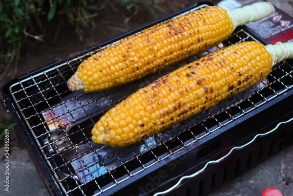 Obraz とうもろこし