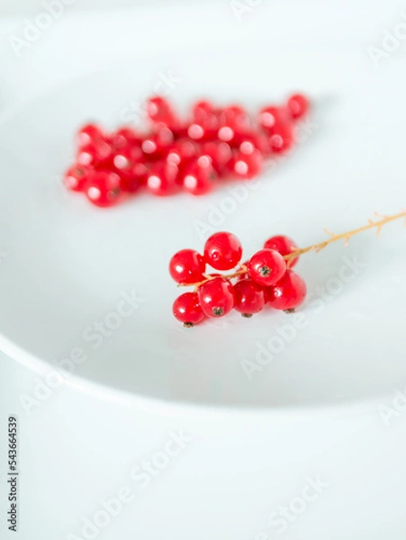 Fototapeta A bunch of red currants on a white background