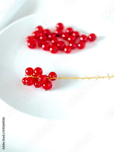 Fototapeta A bunch of red currants on a white background