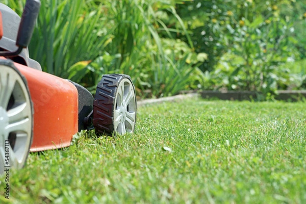Obraz Rasenmäher auf dem Rasen