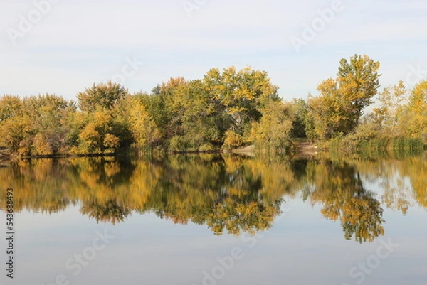 Fototapeta Fall Colors