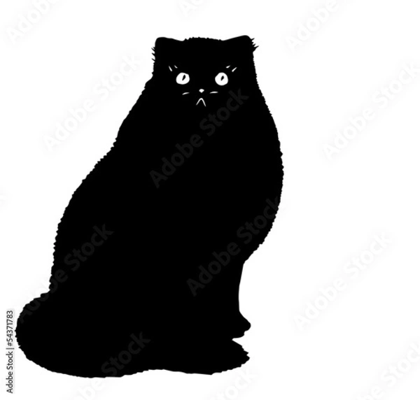 Fototapeta Big, fat cat