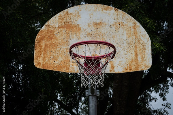 Fototapeta basketball hoop and net