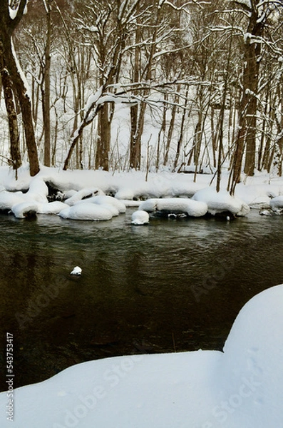 Obraz Chilly cold winter river and snowy mountains
