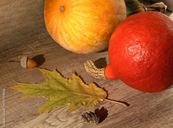 Obraz Orange and yellow pumpkins lie on a brown wood textured background with an autumn leaf, acorn and cone, close-up side view