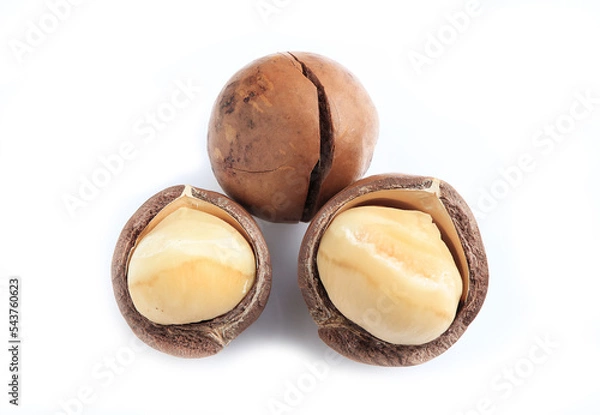 Fototapeta Close up of Shelled and unshelled organic macadamia nuts isolated on white background. healthy food concept.