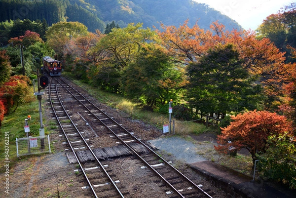 Obraz 紅葉の始まったローカル線