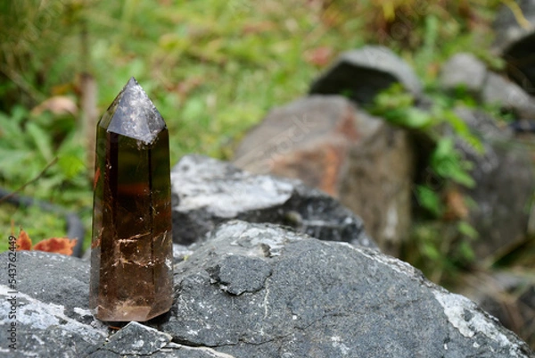 Fototapeta An image of a single tall smoky quartz crystal tower place on a rock at the edge of a flower garden.