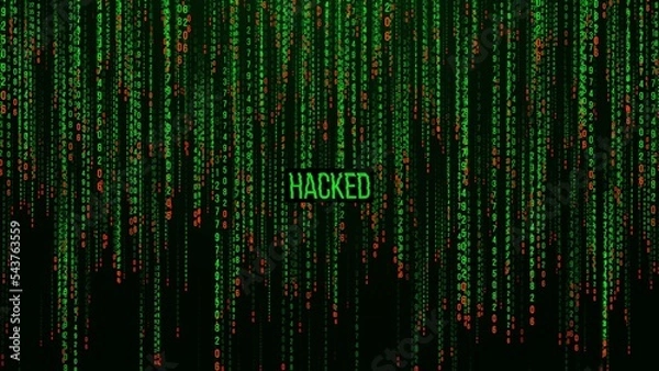 Fototapeta Matrix background with the green symbols