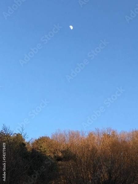 Fototapeta 멀리 떨어진 달