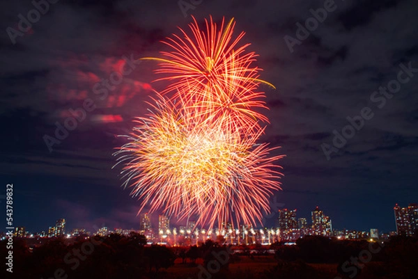 Obraz 夜空に打ち上がる花火