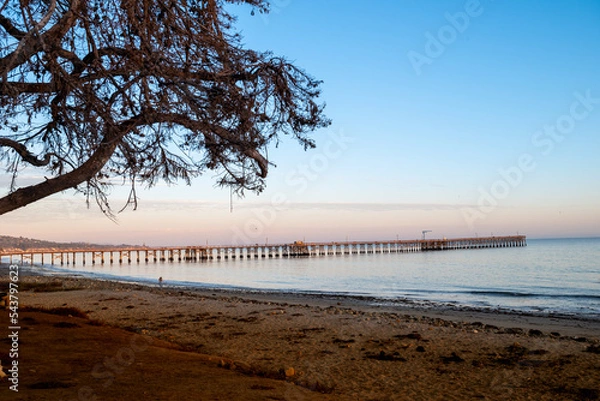 Obraz sunset on the beach
