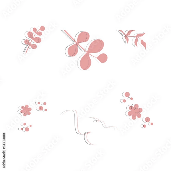 Obraz Colored set of pink floral elements with lines. Flowers and leaves. For wedding, floral poster, invite. Vector arrangements for greeting card or invitation design.