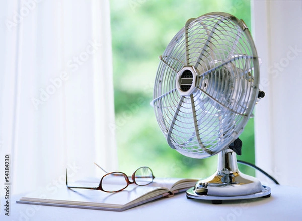 Fototapeta fun and book