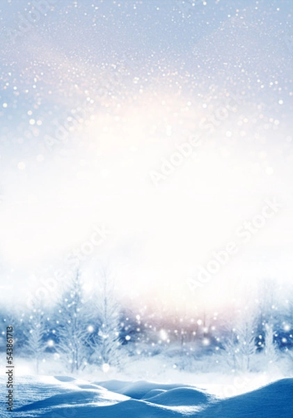 Fototapeta  Frozen winter forest with snow covered trees.