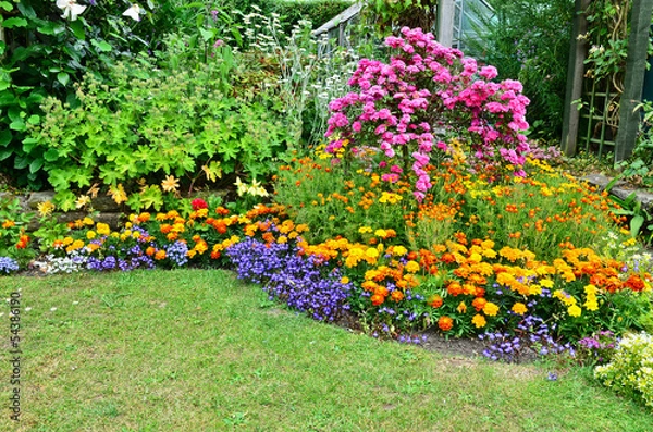 Fototapeta Summertime garden