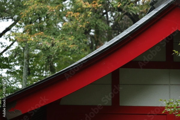 Obraz 山麓の神社