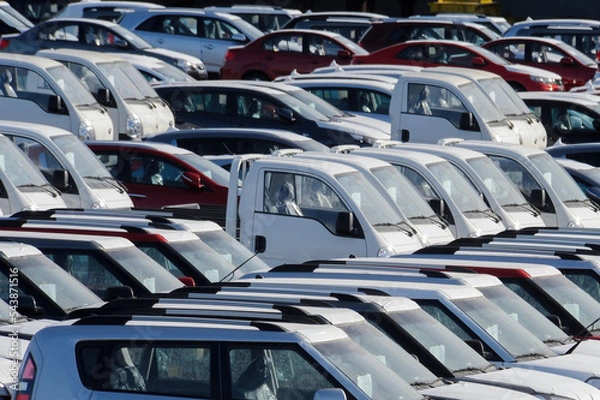 Obraz 선적 기다리는 수출용 자동차들