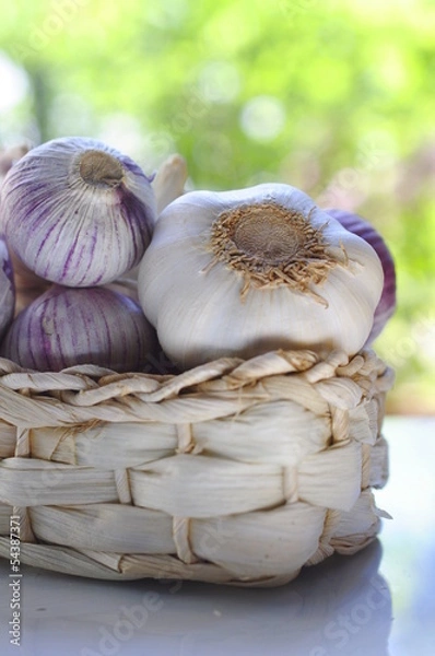 Obraz Czosnek w koszyku