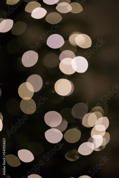 Obraz Christmas tree lights