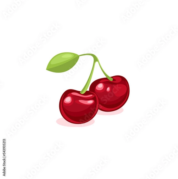 Obraz Drawing of a ripe red cherry