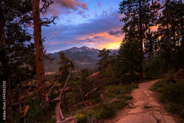 Obraz Mountain Trail