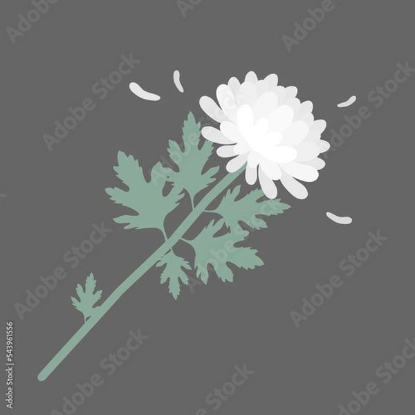 Obraz 국화꽃 추모 일러스트 벡터 이미지