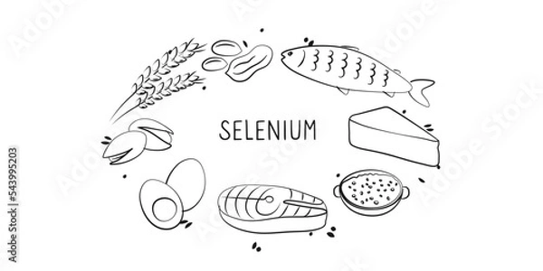 Fototapeta Selenium-containing food. Groups of healthy products containing vitamins and minerals. Set of fruits, vegetables, meats, fish and dairy