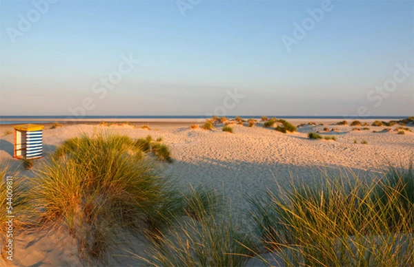 Obraz strand insel borkum